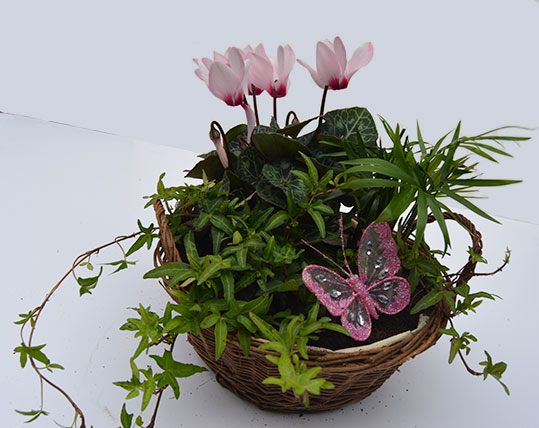 Simply Flowers Planted Basket 2