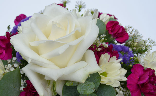 White Roses and Chrysanthemums