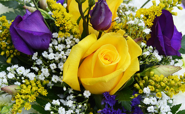 Purple and Yellow Roses