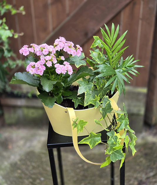 Simply Flowers Handbag of Plants