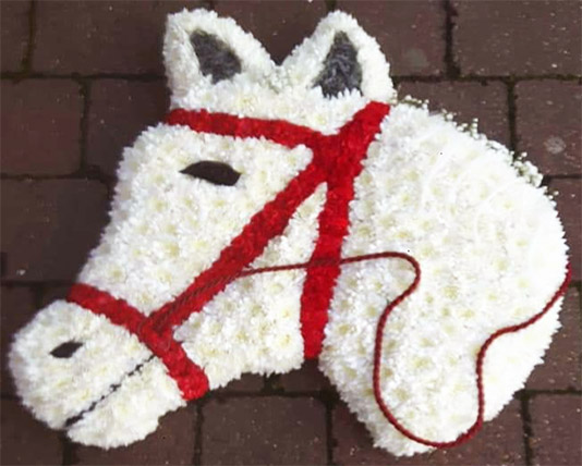 Horse Funeral Tribute