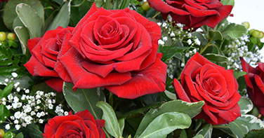 Flowers Gallery