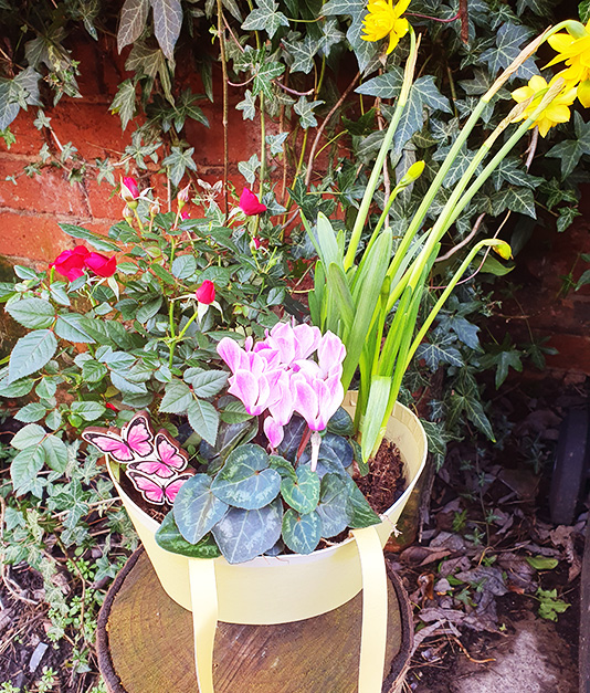 Mothersday Handbag of Plants