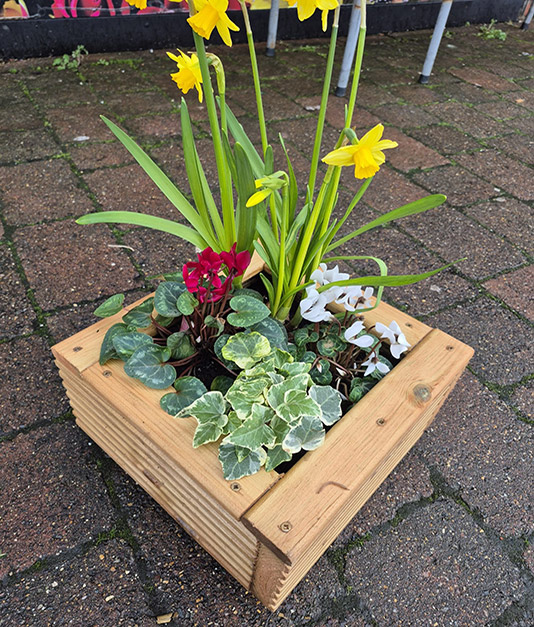 Mothersday Flowers - Wooden Planters