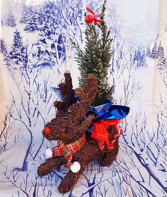 Christmas Flowers - Reindeer