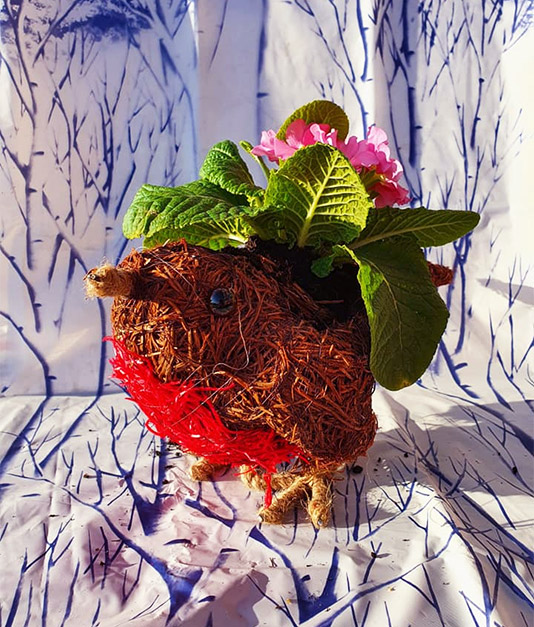 Christmas Flowers - Robin